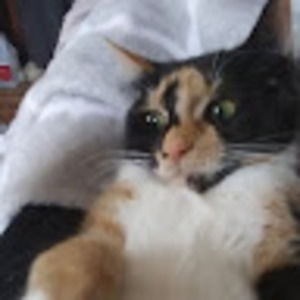 Meet your Posher, Sasha